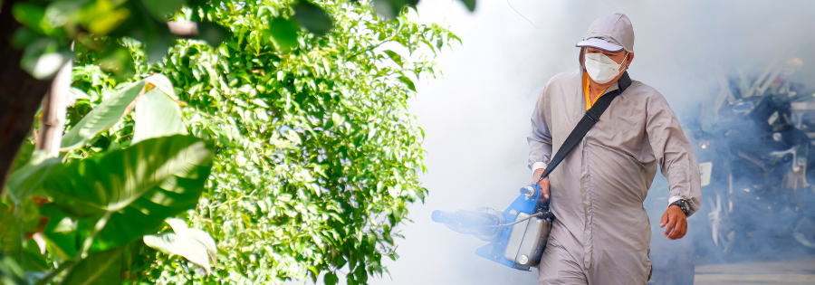 Mosquito Spraying for Business
