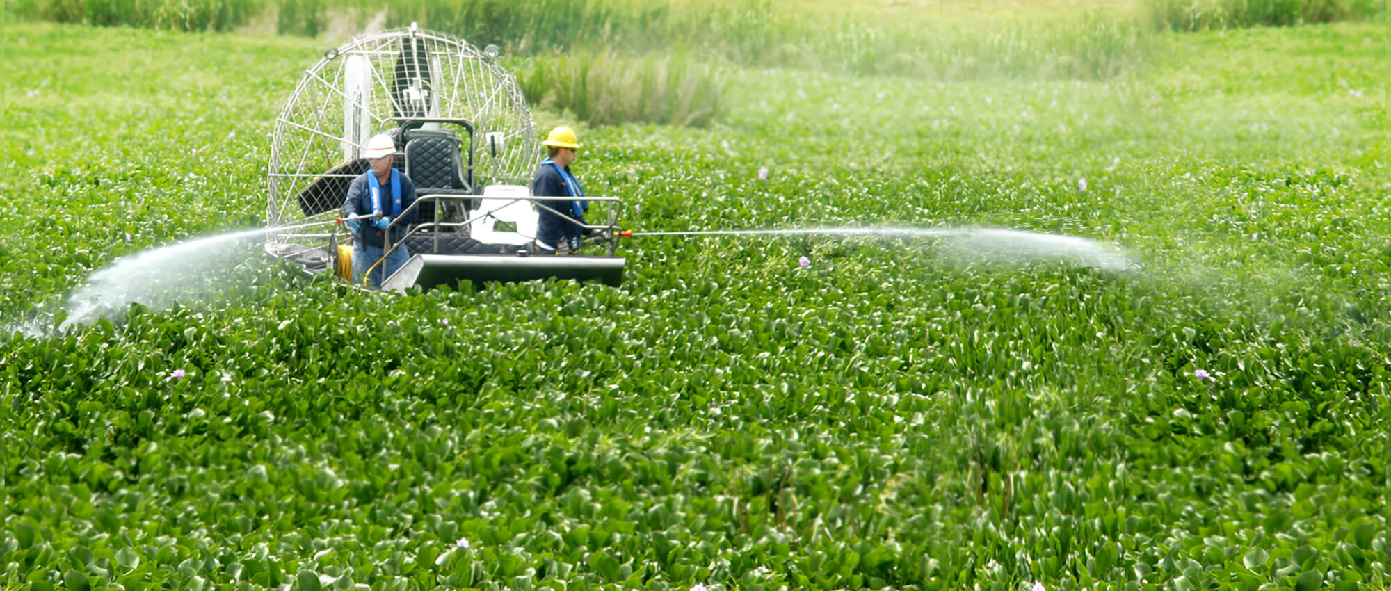 Aquatic Control Programs Houston, TX Lake & Pond Treatment TX