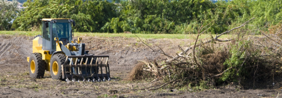 Vegetation Removal