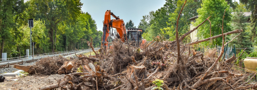 vegetation clearance services