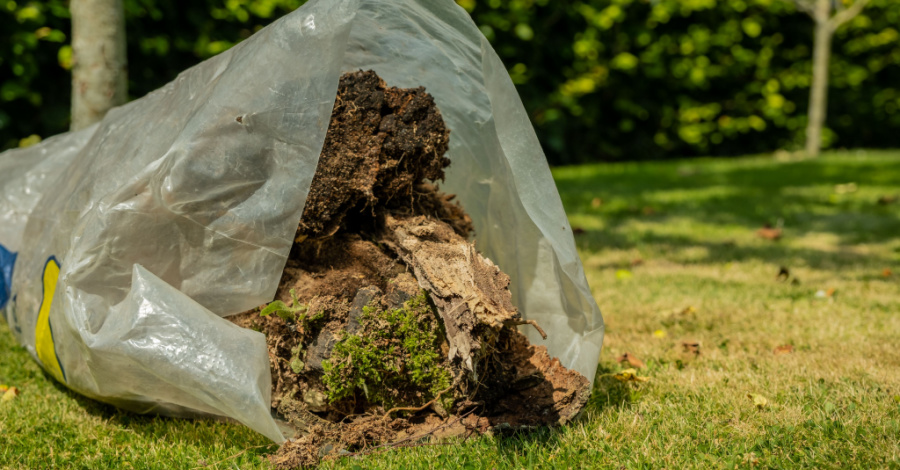 vegetation clearance