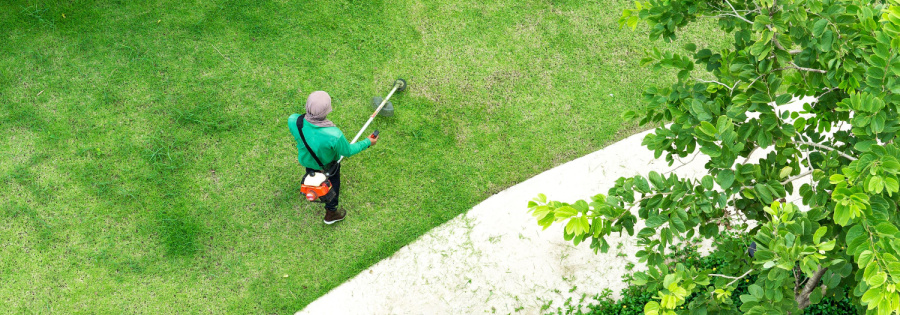 Commercial Algae & Weed Control - Aquatic Control