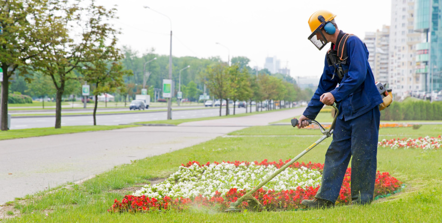 winter landscaping