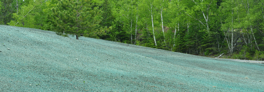 Hydroseeding