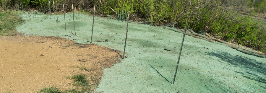 Hydroseeding