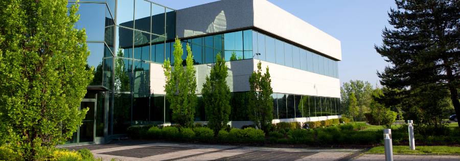 trees near building