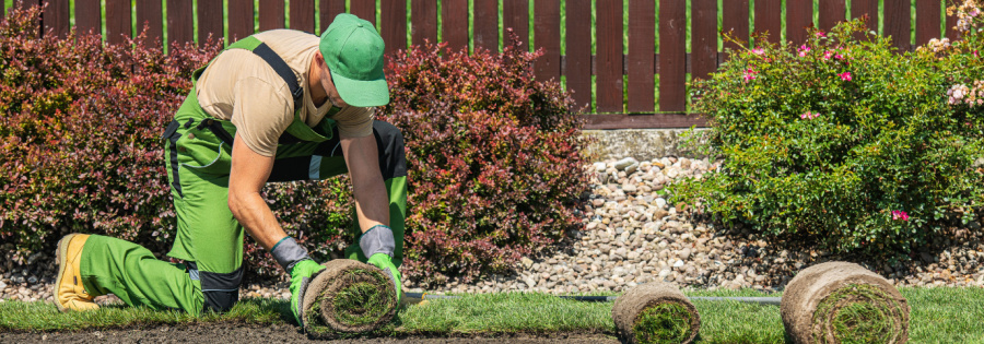 Sustainable Landscaping
